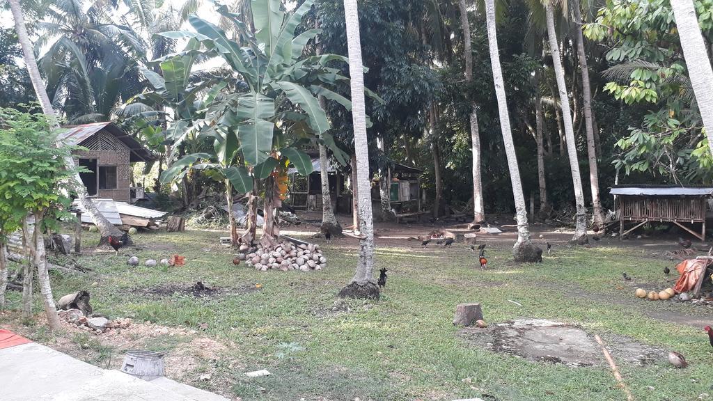 James Homestay Đảo Đảo Siquijor Ngoại thất bức ảnh